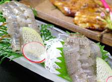 瀬戸内海鮮料理 白壁